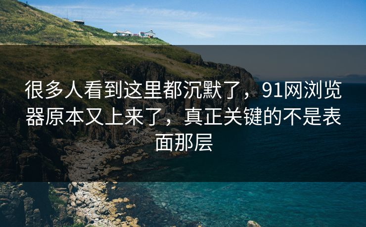 很多人看到这里都沉默了，91网浏览器原本又上来了，真正关键的不是表面那层