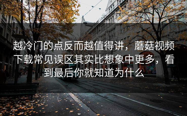 越冷门的点反而越值得讲，蘑菇视频下载常见误区其实比想象中更多，看到最后你就知道为什么