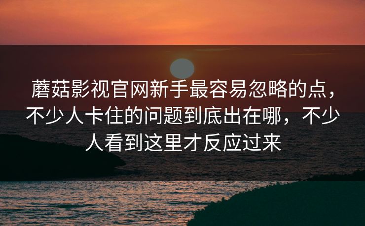 蘑菇影视官网新手最容易忽略的点，不少人卡住的问题到底出在哪，不少人看到这里才反应过来