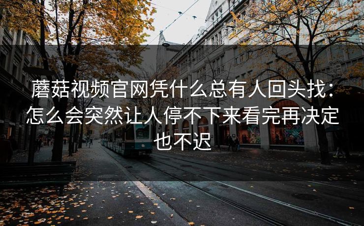 蘑菇视频官网凭什么总有人回头找：怎么会突然让人停不下来看完再决定也不迟