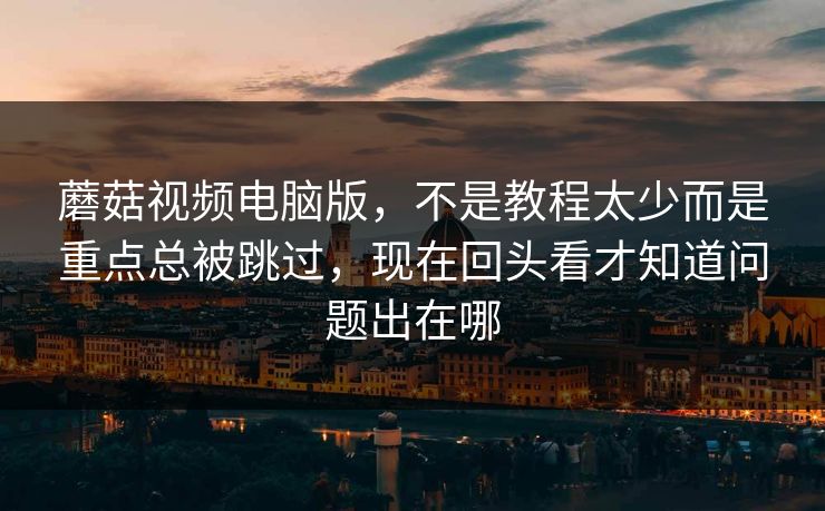 蘑菇视频电脑版，不是教程太少而是重点总被跳过，现在回头看才知道问题出在哪