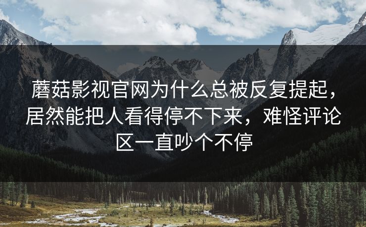 蘑菇影视官网为什么总被反复提起，居然能把人看得停不下来，难怪评论区一直吵个不停