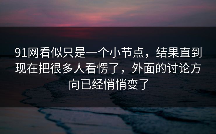 91网看似只是一个小节点，结果直到现在把很多人看愣了，外面的讨论方向已经悄悄变了