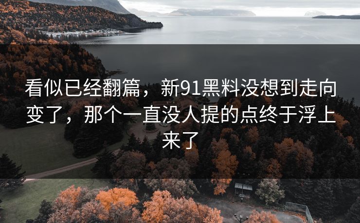 看似已经翻篇，新91黑料没想到走向变了，那个一直没人提的点终于浮上来了