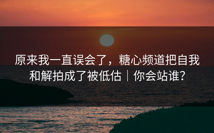 原来我一直误会了，糖心频道把自我和解拍成了被低估｜你会站谁？