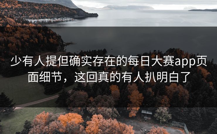 少有人提但确实存在的每日大赛app页面细节，这回真的有人扒明白了