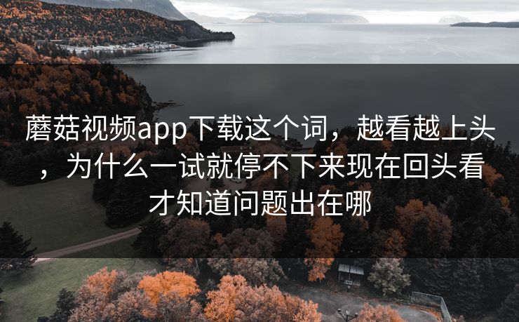 蘑菇视频app下载这个词，越看越上头，为什么一试就停不下来现在回头看才知道问题出在哪