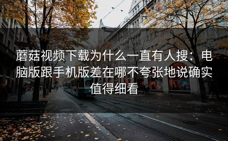 蘑菇视频下载为什么一直有人搜：电脑版跟手机版差在哪不夸张地说确实值得细看