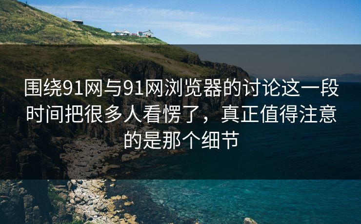 围绕91网与91网浏览器的讨论这一段时间把很多人看愣了，真正值得注意的是那个细节
