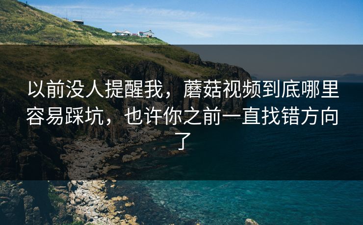 以前没人提醒我，蘑菇视频到底哪里容易踩坑，也许你之前一直找错方向了